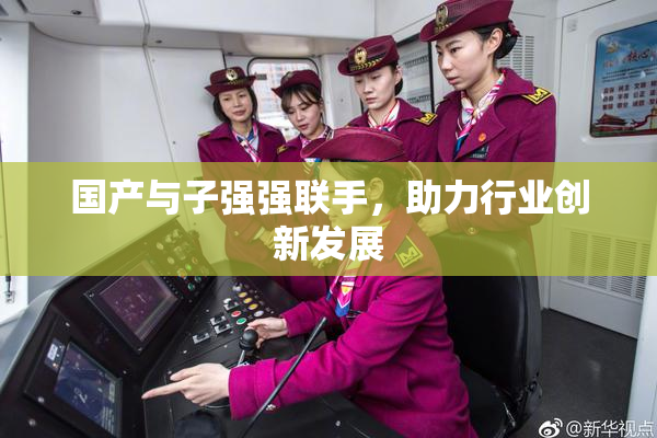 国产与子强强联手，助力行业创新发展