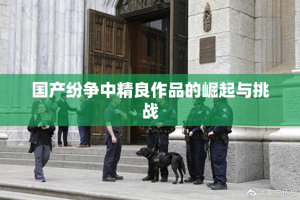 国产纷争中精良作品的崛起与挑战