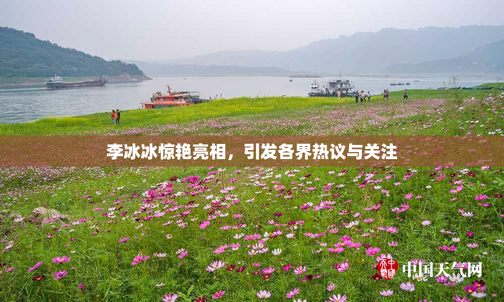 李冰冰惊艳亮相，引发各界热议与关注