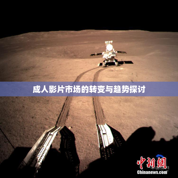 成人影片市场的转变与趋势探讨