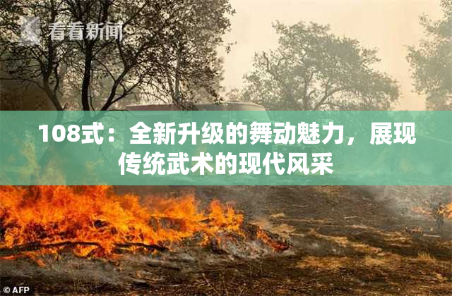 108式：全新升级的舞动魅力，展现传统武术的现代风采