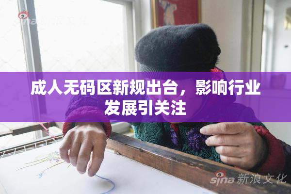 成人无码区新规出台，影响行业发展引关注