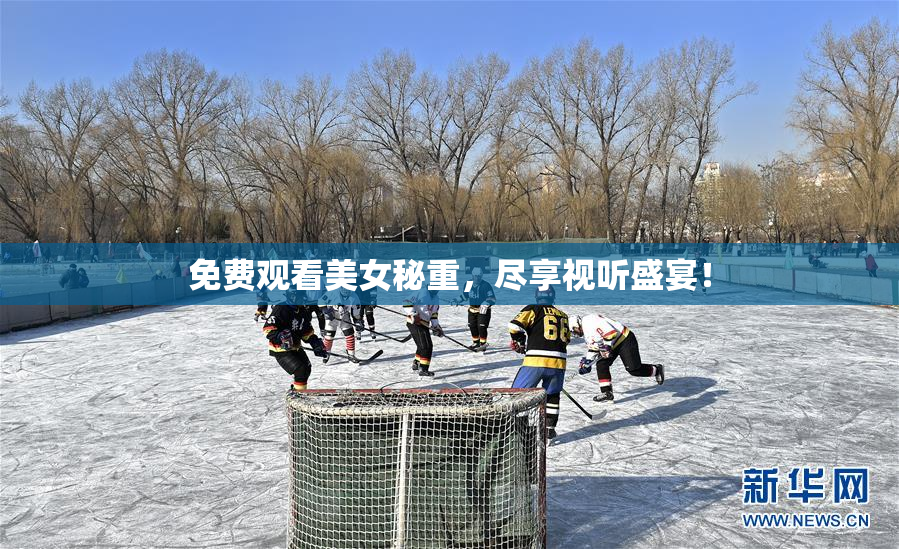 免费观看美女秘重，尽享视听盛宴！