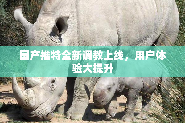 国产推特全新调教上线，用户体验大提升