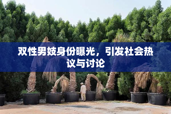 双性男妓身份曝光，引发社会热议与讨论