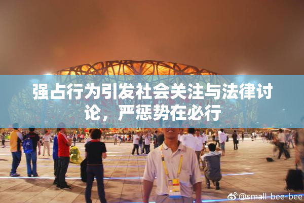 强占行为引发社会关注与法律讨论，严惩势在必行