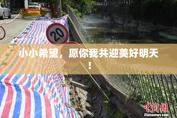小小希望，愿你我共迎美好明天！