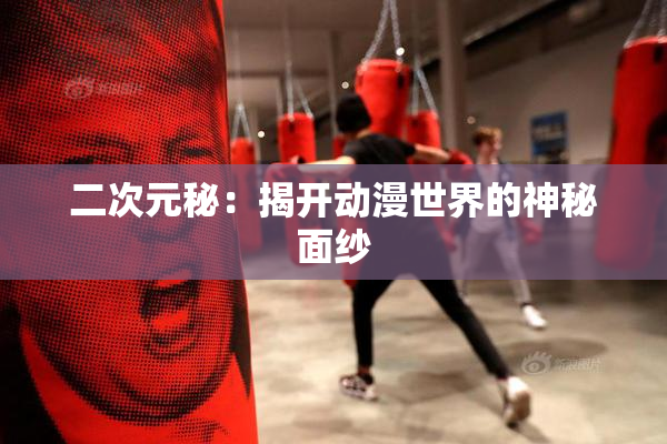 二次元秘：揭开动漫世界的神秘面纱
