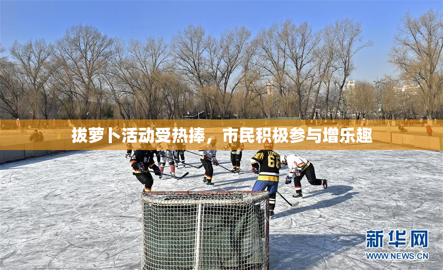 拔萝卜活动受热捧，市民积极参与增乐趣