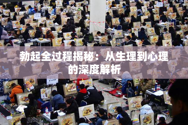 勃起全过程揭秘：从生理到心理的深度解析