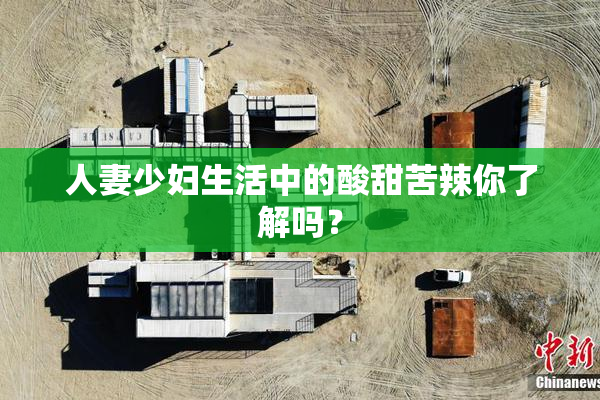 人妻少妇生活中的酸甜苦辣你了解吗？