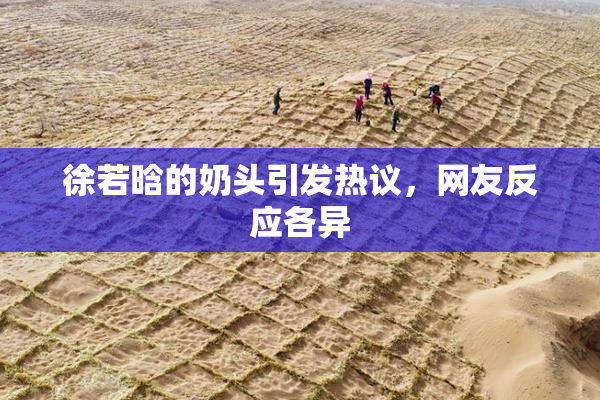 徐若晗的奶头引发热议，网友反应各异