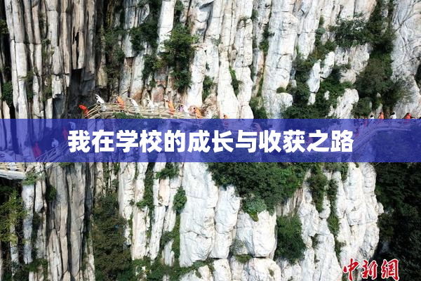 我在学校的成长与收获之路