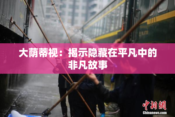 大荫蒂视：揭示隐藏在平凡中的非凡故事