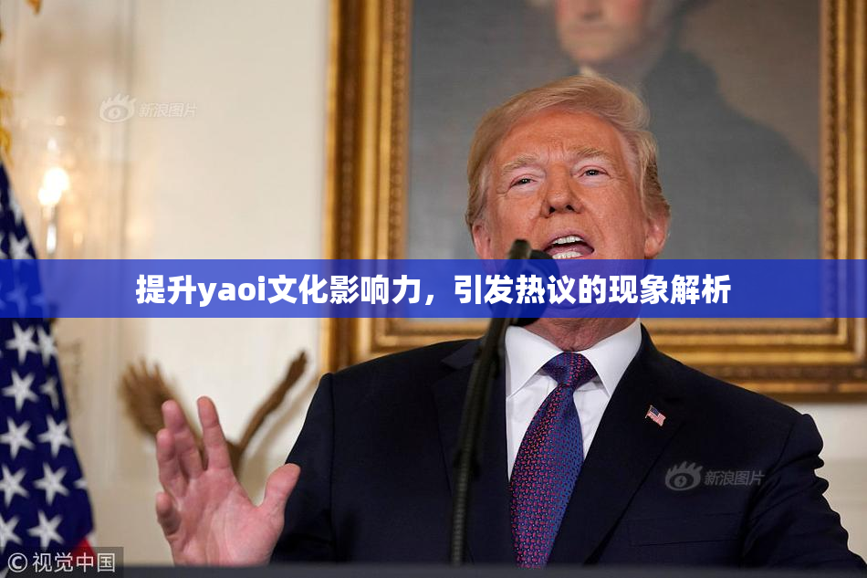 提升yaoi文化影响力，引发热议的现象解析