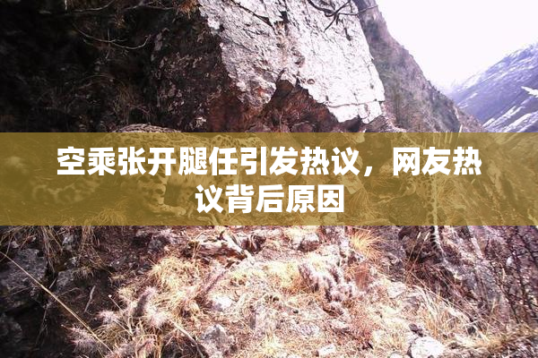 空乘张开腿任引发热议，网友热议背后原因