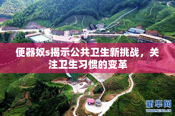 便器奴s揭示公共卫生新挑战，关注卫生习惯的变革