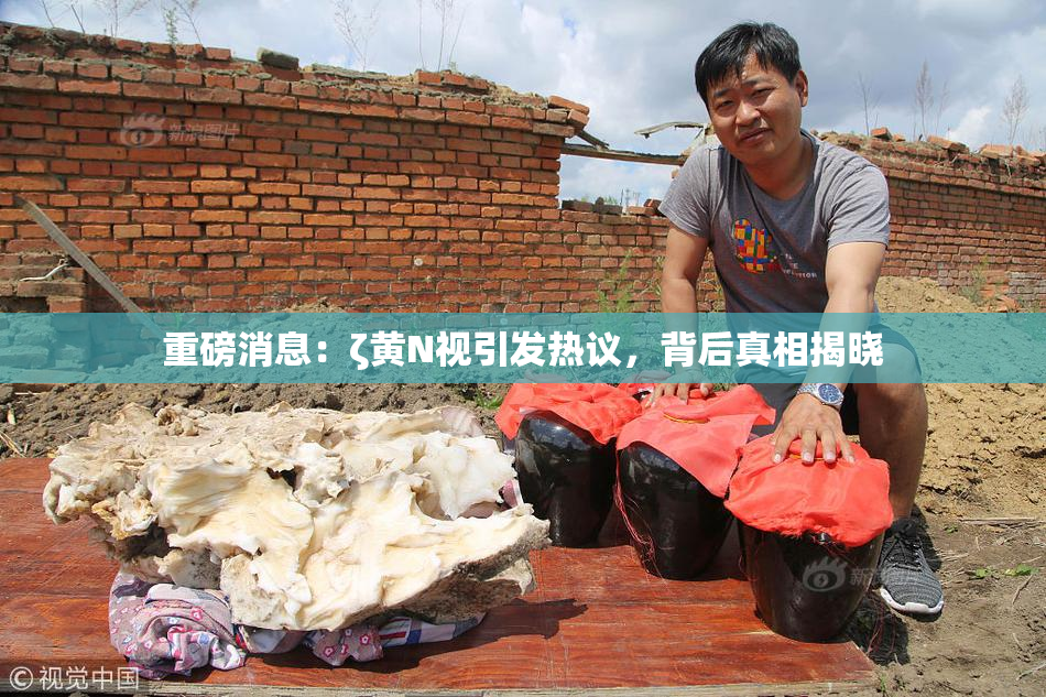 重磅消息：ζ黄Ν视引发热议，背后真相揭晓