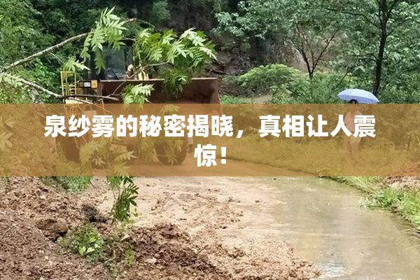 泉纱雾的秘密揭晓，真相让人震惊！