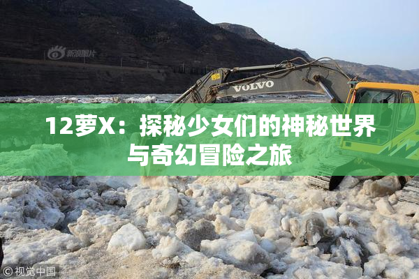 12萝X：探秘少女们的神秘世界与奇幻冒险之旅