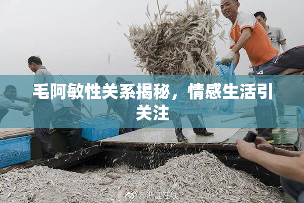 毛阿敏性关系揭秘，情感生活引关注