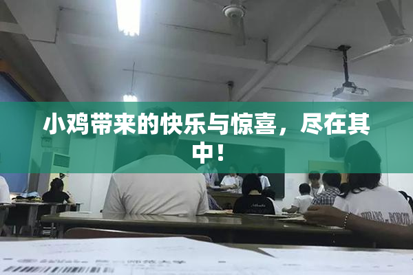 小鸡带来的快乐与惊喜，尽在其中！