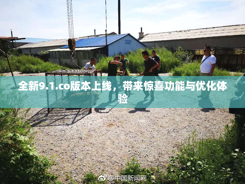 全新9.1.co版本上线，带来惊喜功能与优化体验