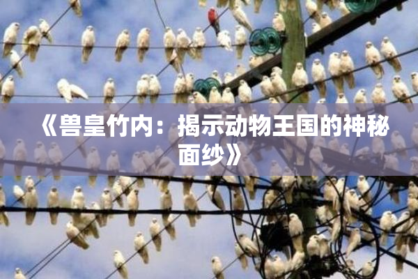 《兽皇竹内：揭示动物王国的神秘面纱》