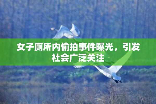 女子厕所内偷拍事件曝光，引发社会广泛关注