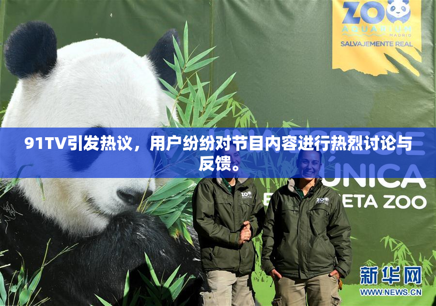 91TV引发热议，用户纷纷对节目内容进行热烈讨论与反馈。