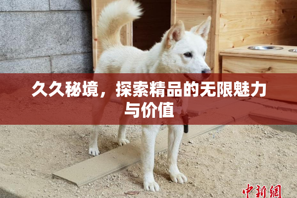 久久秘境，探索精品的无限魅力与价值