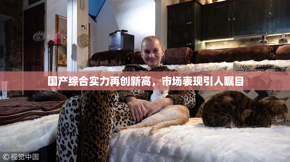 国产综合实力再创新高，市场表现引人瞩目