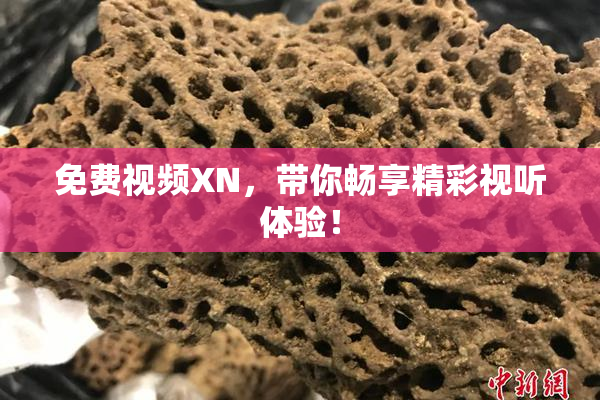 免费视频XN，带你畅享精彩视听体验！