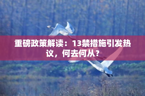 重磅政策解读：13禁措施引发热议，何去何从？