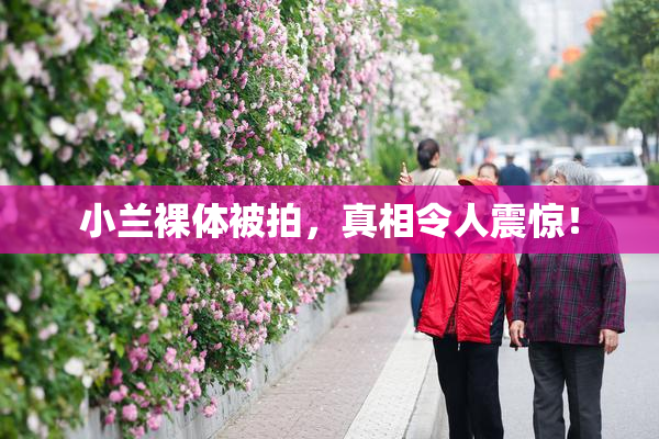 小兰裸体被拍，真相令人震惊！