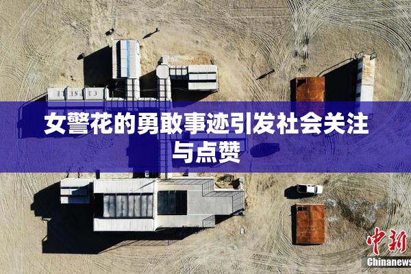 女警花的勇敢事迹引发社会关注与点赞