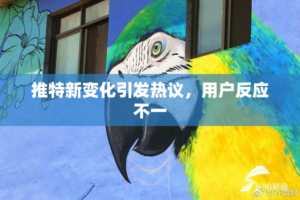 推特新变化引发热议，用户反应不一