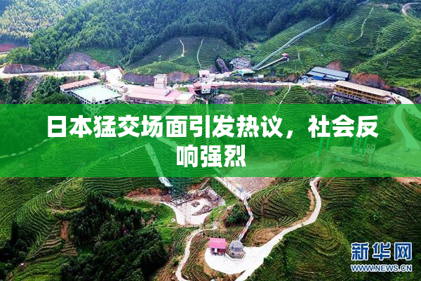 日本猛交场面引发热议，社会反响强烈
