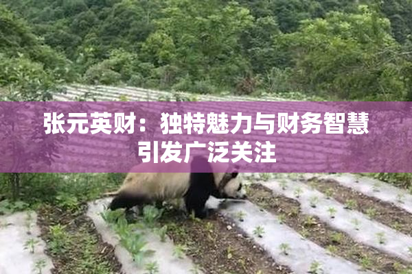 张元英财：独特魅力与财务智慧引发广泛关注