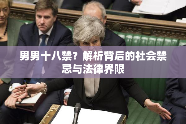 男男十八禁？解析背后的社会禁忌与法律界限