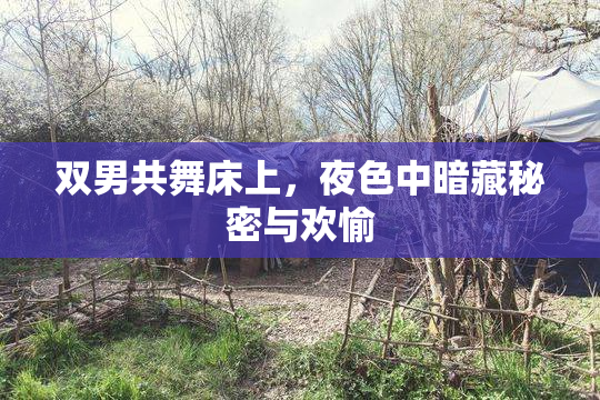 双男共舞床上，夜色中暗藏秘密与欢愉