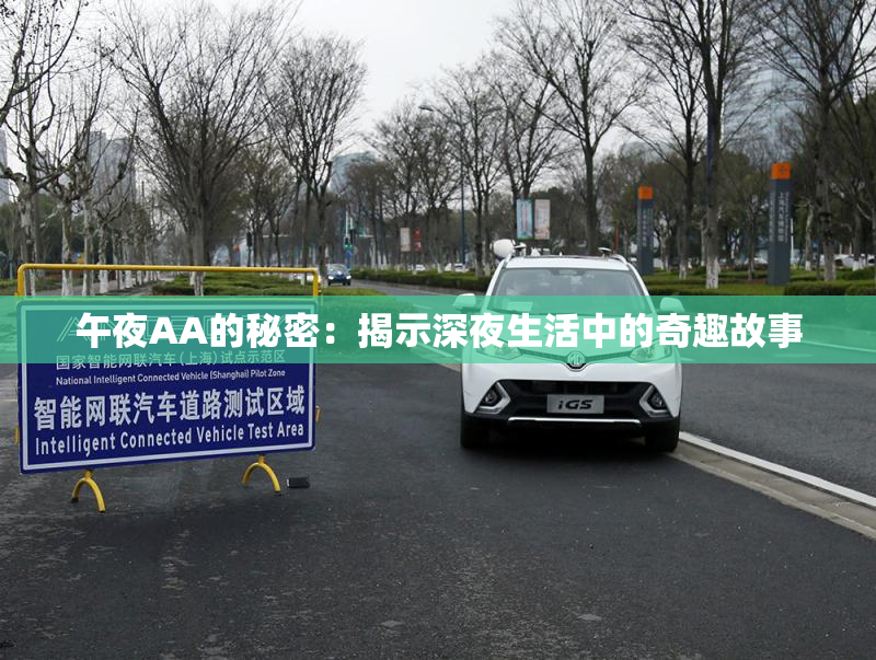 午夜AA的秘密：揭示深夜生活中的奇趣故事