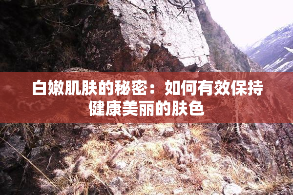 白嫩肌肤的秘密：如何有效保持健康美丽的肤色