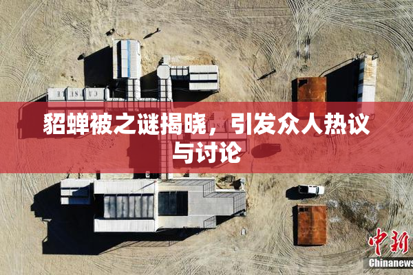 貂蝉被之谜揭晓，引发众人热议与讨论