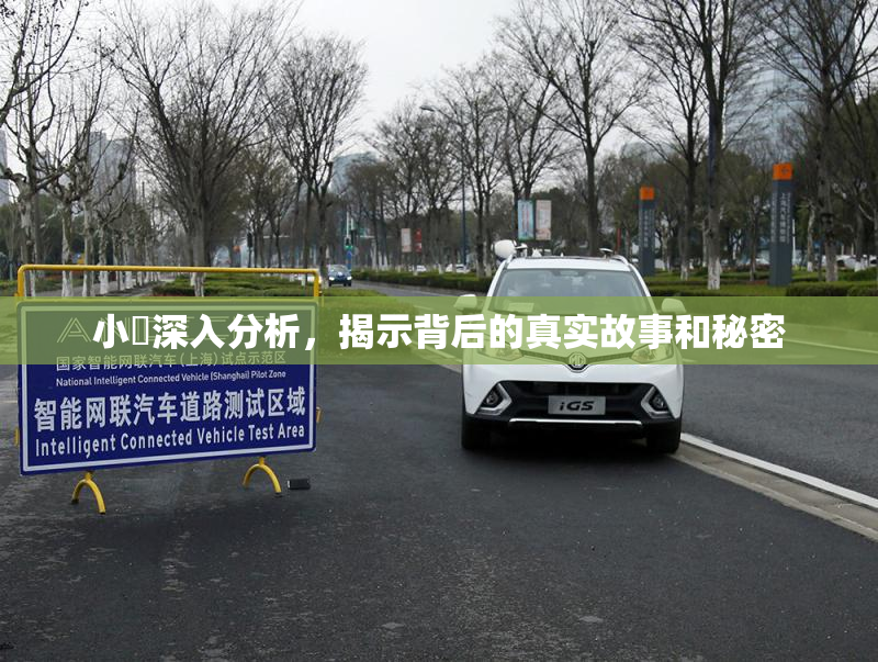 小泬深入分析，揭示背后的真实故事和秘密