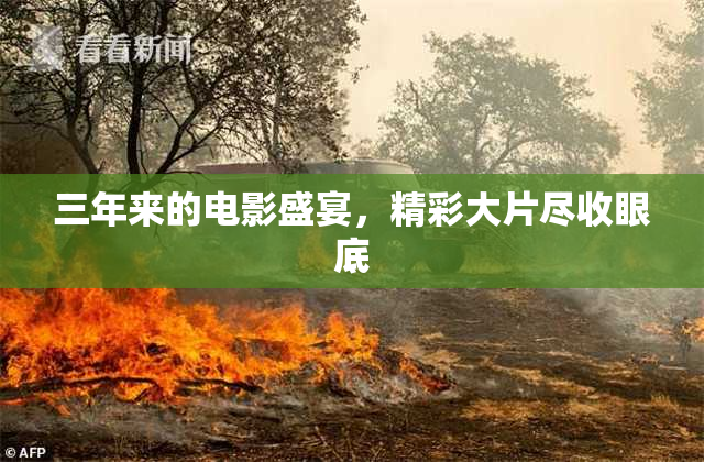 三年来的电影盛宴，精彩大片尽收眼底