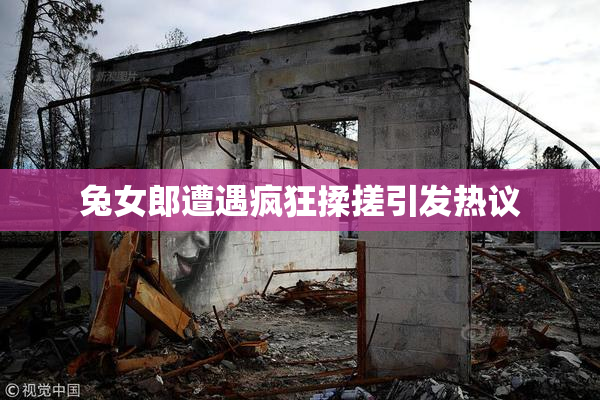 兔女郎遭遇疯狂揉搓引发热议
