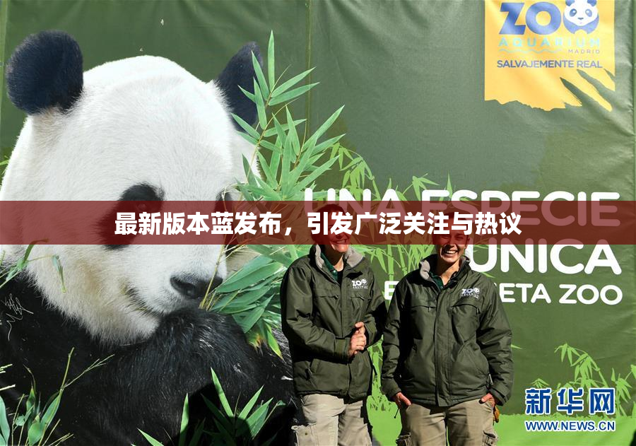 最新版本蓝发布，引发广泛关注与热议