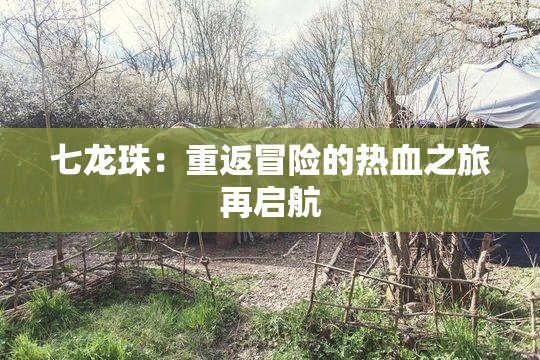 七龙珠：重返冒险的热血之旅再启航