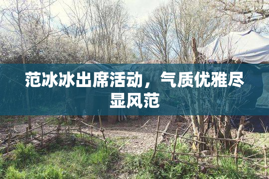 范冰冰出席活动，气质优雅尽显风范